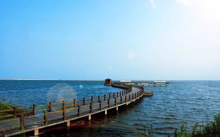 上海各个景点路线图,上海地铁沿线景点大全游上海必备