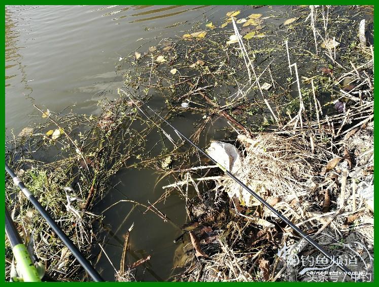 爽钓渔具,爽钓黄金版