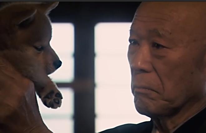 一只狗感动到哭的视频,一只狗看电影看哭了