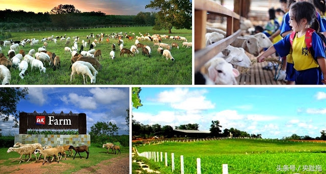 马来西亚乐高主题公园攻略,马来西亚乐高乐园有哪些景点