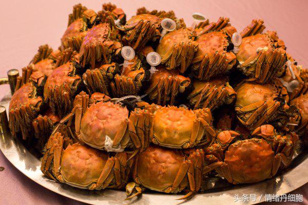 涨知识螃蟹的这几个地方不能吃,吃什么螃蟹不能吃什么