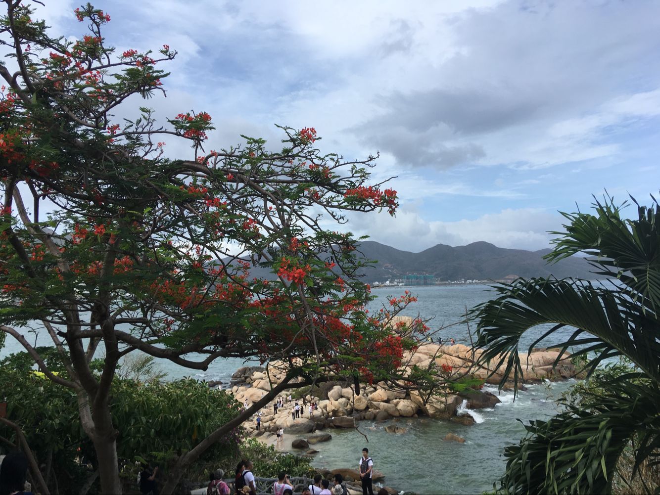 越南旅游芽庄6天五晚带多少钱,越南芽庄旅行记视频