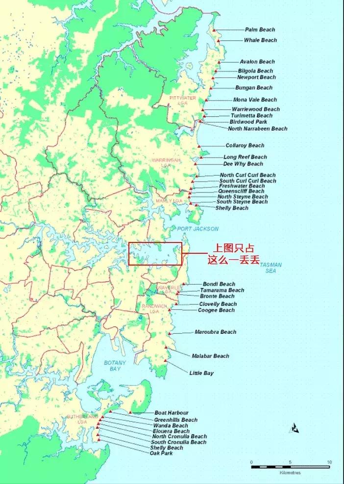 你在悉尼这么浪，你妈知道吗？