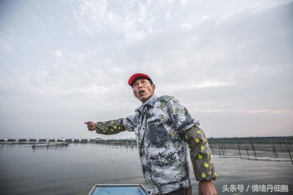 涨知识螃蟹的这几个地方不能吃,吃什么螃蟹不能吃什么