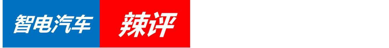 十大造假车企名单,德系车最新公布