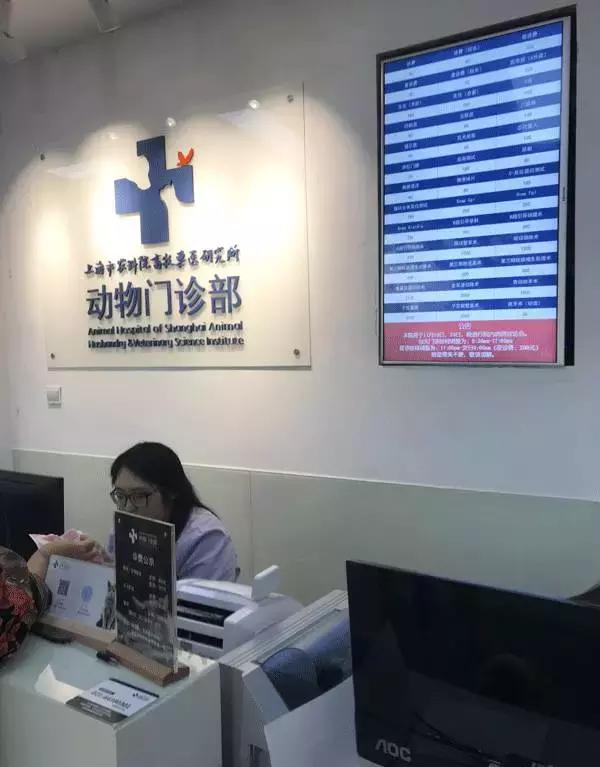 中国为什么没有正规的宠物医院,国内靠谱的宠物医院