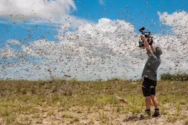 大卫爱登堡60年,大卫爱登堡中国
