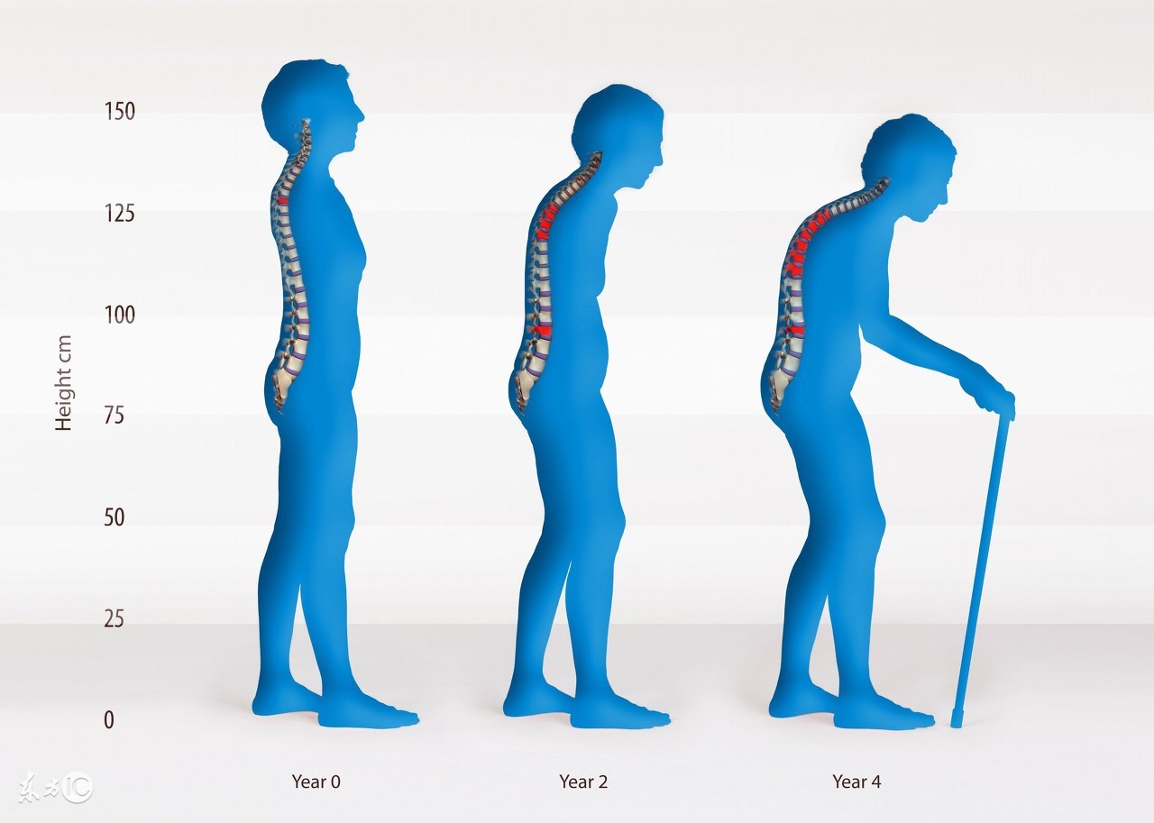 仙灵骨葆胶囊都治疗哪些症状呢,仙灵骨葆片配什么药治疗骨质疏松