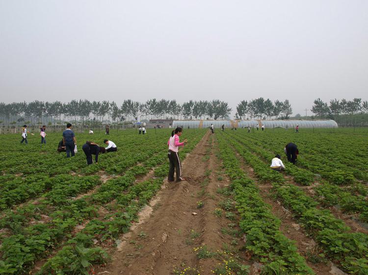保留人民公社体制的有哪些地方,依然实行人民公社制度的十大名村