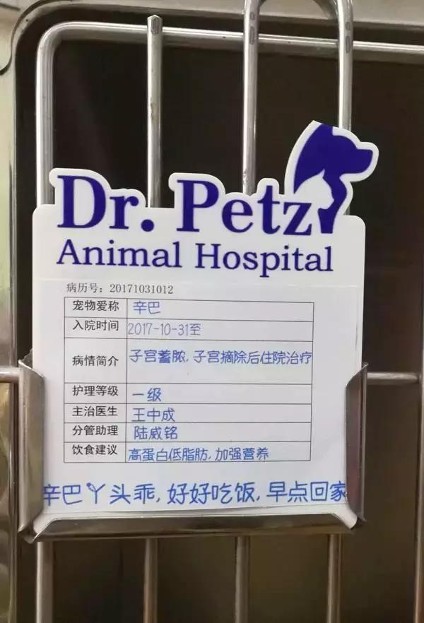 中国为什么没有正规的宠物医院,国内靠谱的宠物医院
