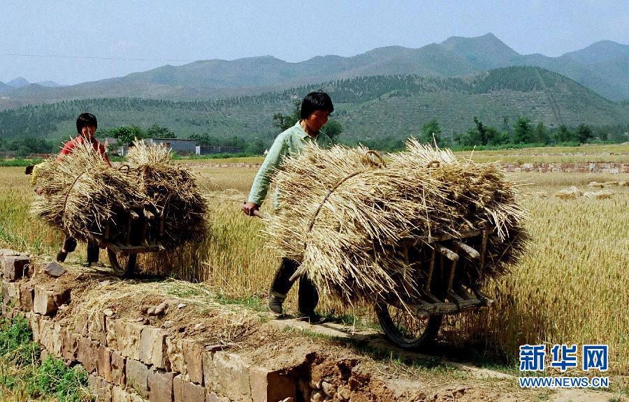 怀念骑自行车的年代,怀念飞逝的时光视频