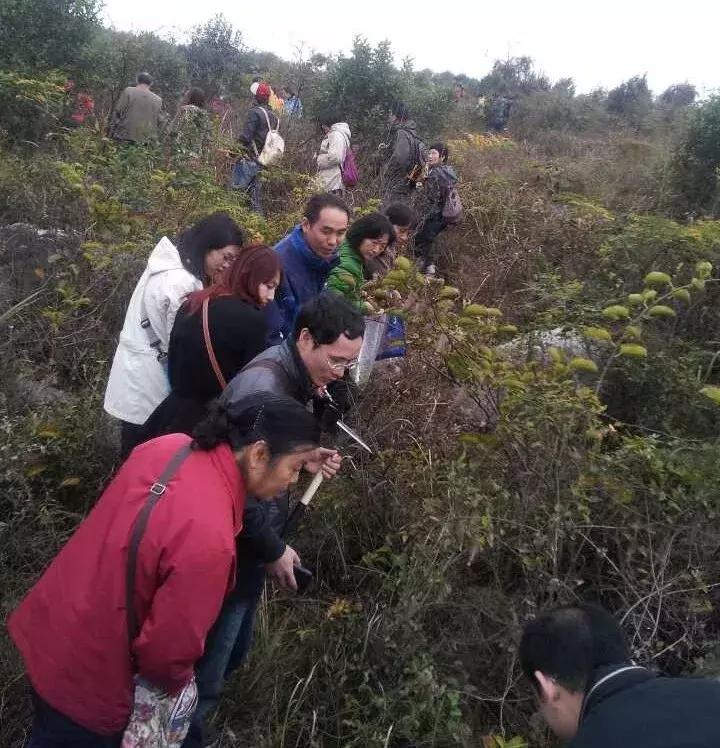 学懂弄通做实二十大精神,学懂弄通做实主题教育