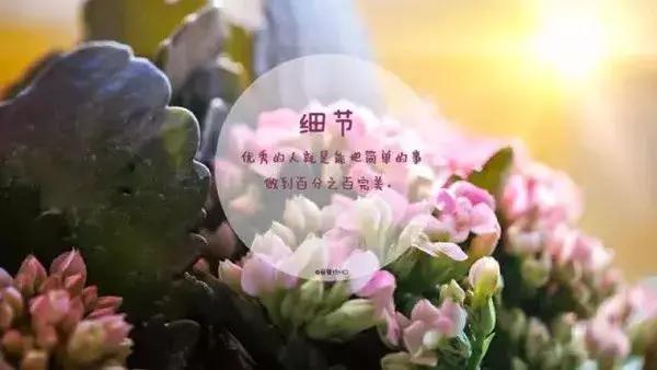 早上好问候语美图早上好的的说说