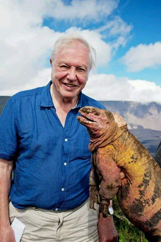 大卫爱登堡60年,大卫爱登堡中国