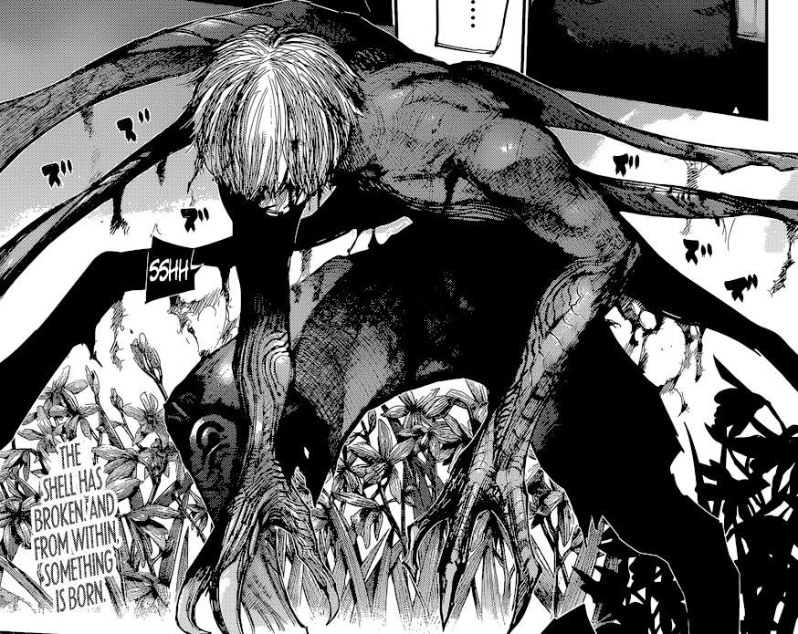 东京喰种金木赫子最强形态是啥,东京喰种金木的最强形态