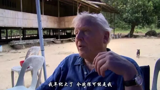 大卫爱登堡60年,大卫爱登堡中国