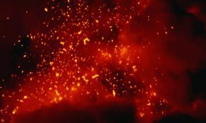 大卫爱登堡60年,大卫爱登堡中国