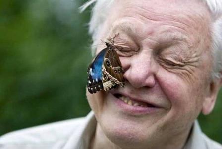 大卫爱登堡60年,大卫爱登堡中国