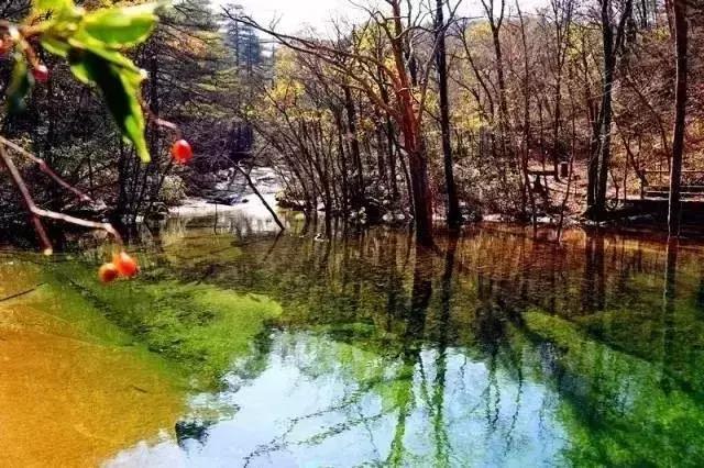 六安去天堂寨风景区怎么去,六安天堂寨风景区自驾游攻略