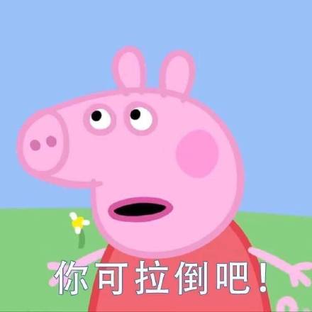 刘耀文小猪佩奇表情包,小猪佩奇燃烧吧我的青春表情包