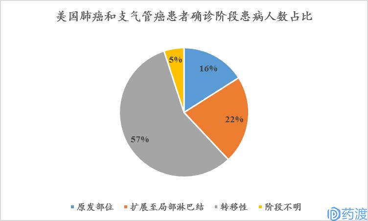 非小细胞肺癌流行病学,非小细胞肺癌患者数量预测