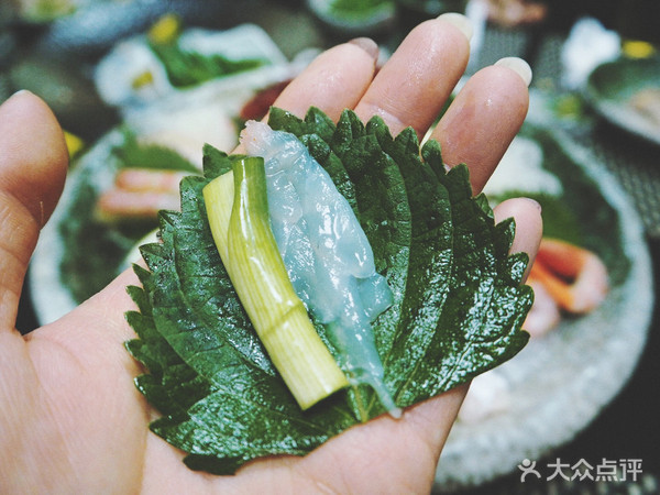 表白被拒的心，只有这家的海鲜刺身可以治愈