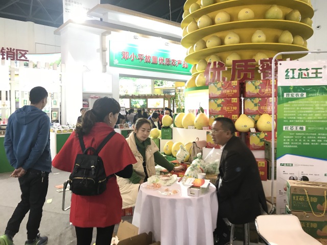 田田深入2017四川农博会，逛一圈，胖5斤！