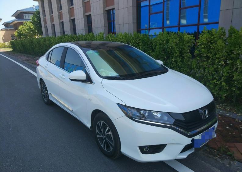 思域哥瑞,哥瑞和思域