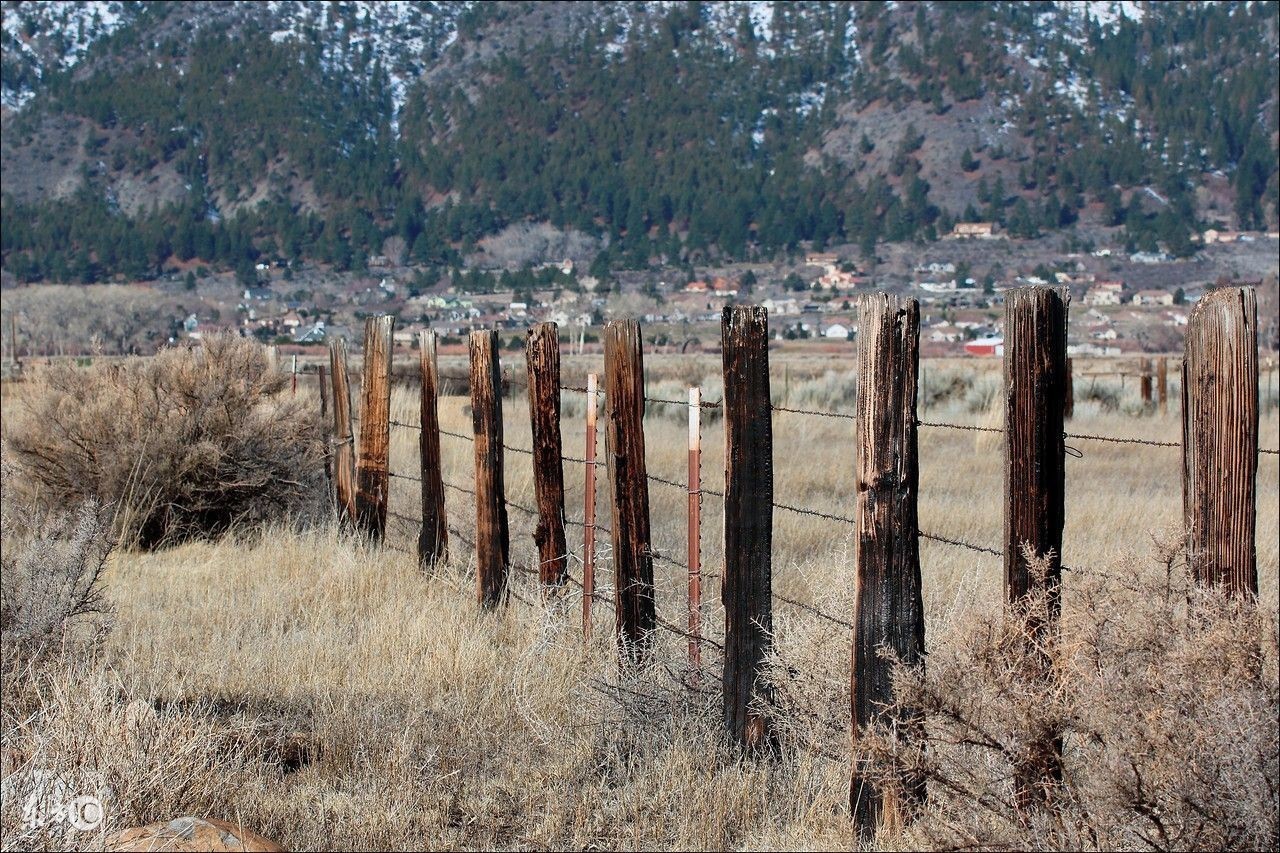 乐视失败的原因,乐视失败的原因的论文