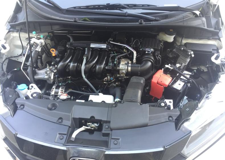 思域哥瑞,哥瑞和思域