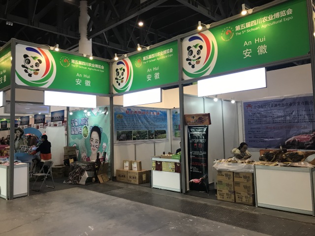 田田深入2017四川农博会，逛一圈，胖5斤！