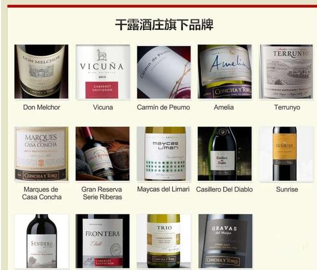 干露酒庄,干露酒庄魔爵赤霞珠红葡萄酒2009