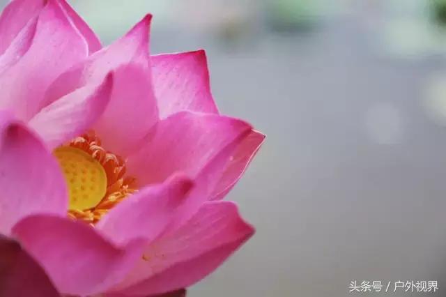 泰国自驾游要办哪些手续,泰国深度自驾线路推荐