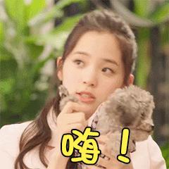 浅谈两大主流网址后缀,网址地址后的后缀新的含义是什么
