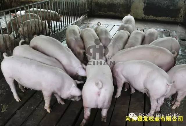 护产师培训,企业应急救护员培训