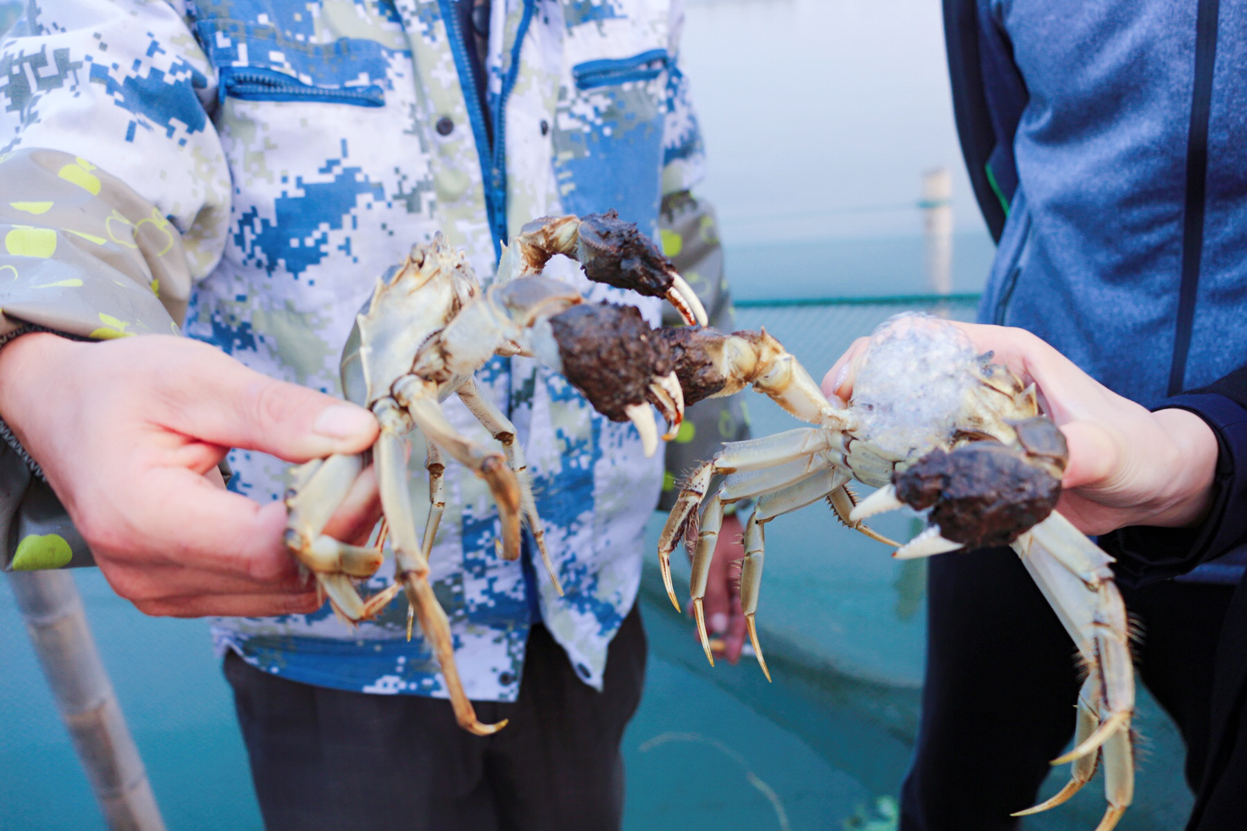 鑻忓窞闃虫緞婀栫編鍛崇壒浜уぇ闂歌煿,鑻忓窞鍚冮槼婢勬箹澶ч椄锜圭殑閰掑簵鎺ㄨ崘