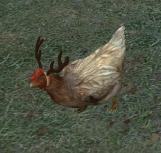 csgo最令人崩溃的鸡,csgo进入瓶颈期谁都打不过