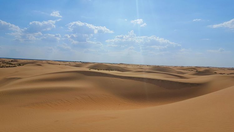 恩格贝沙漠自驾游,走进原始森林房车游记