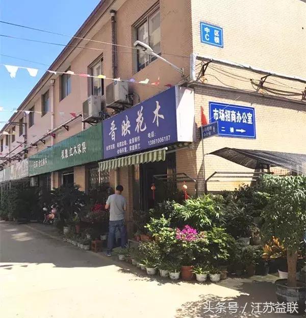 常州鹤远古玩市场,常州古玩市场春节休市吗