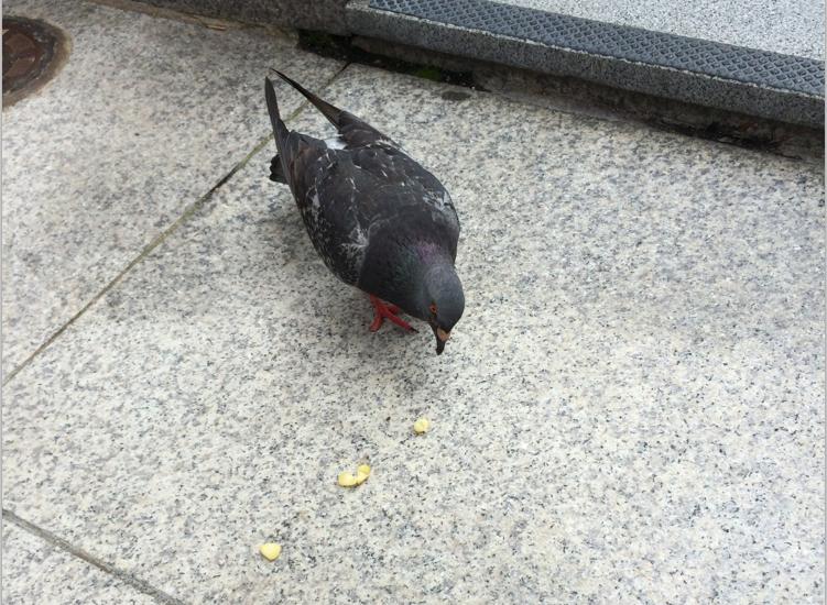 韩国首尔富人区街景视频完整版,韩国首尔街景视频