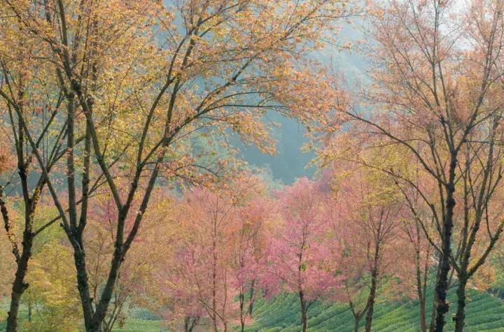 大多数小伙伴儿都不知道的旅行秘密