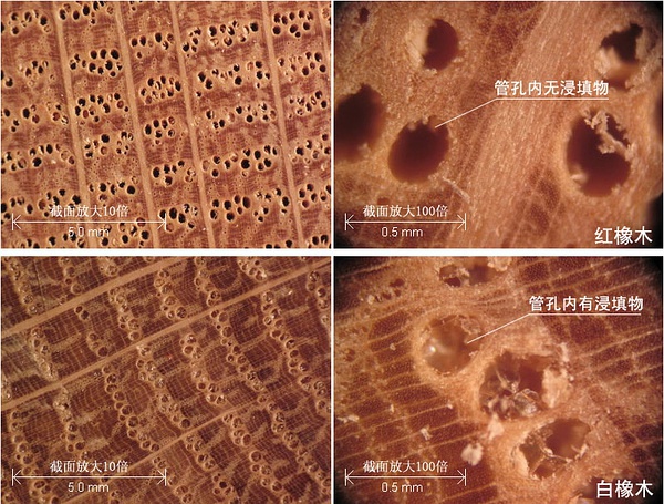 白橡木和红橡木哪个木纹清晰,家具红橡木好还是白橡木的好
