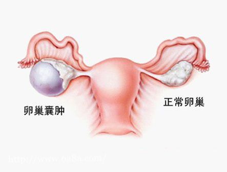 女性三大重要时期,女性的三个关键期