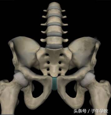 孕期耻骨联合疼痛的原因,孕产指导师讲什么