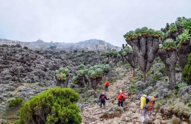 火山喷发会有什么奇观,世界上的火山喷发