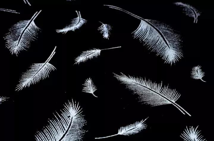 阿里和方兴东的互撕背后，重点是电商的二选一