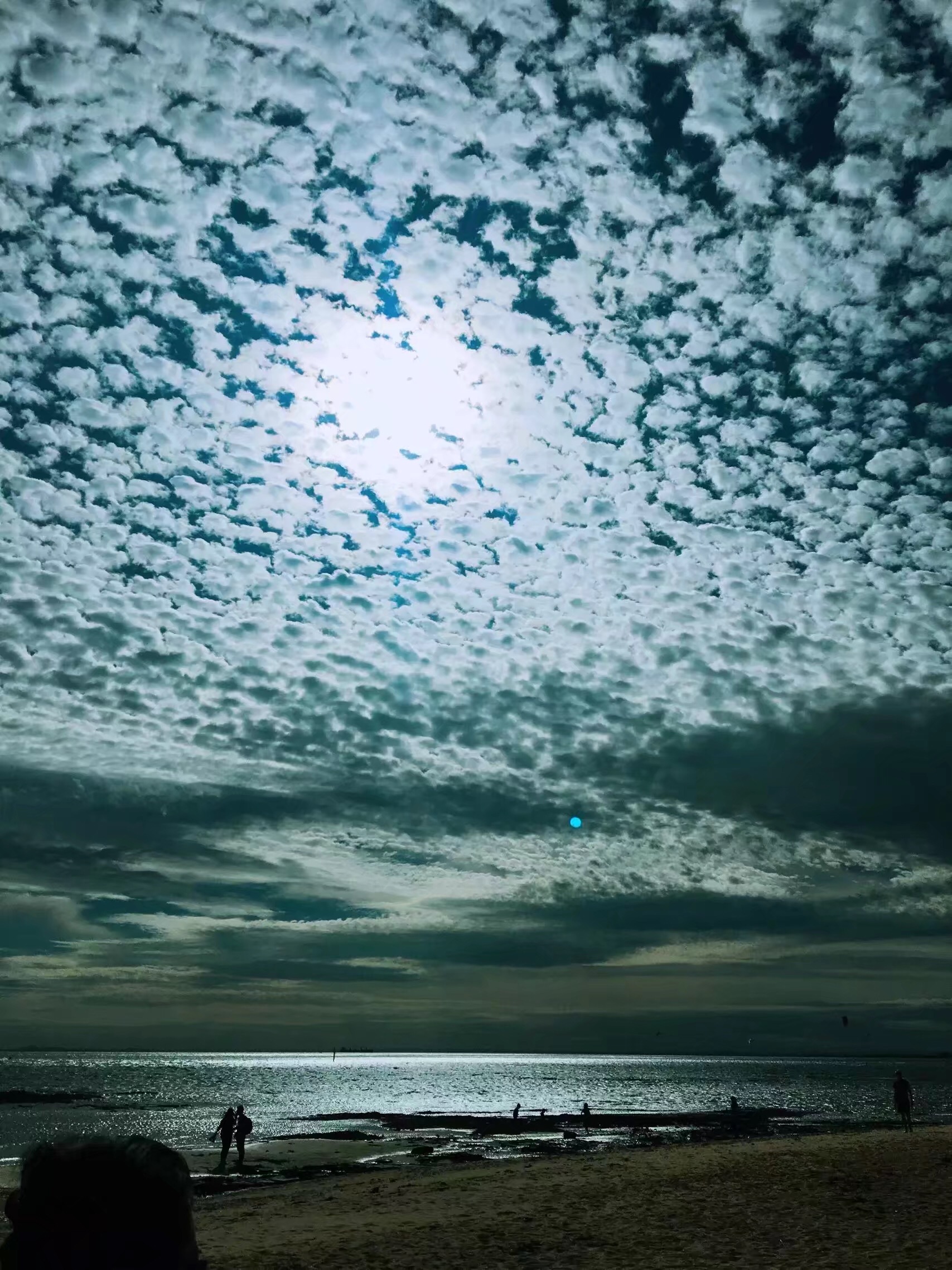 手拍世界作品交流平台,手拍世界摄影网站