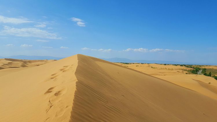 恩格贝沙漠自驾游,走进原始森林房车游记