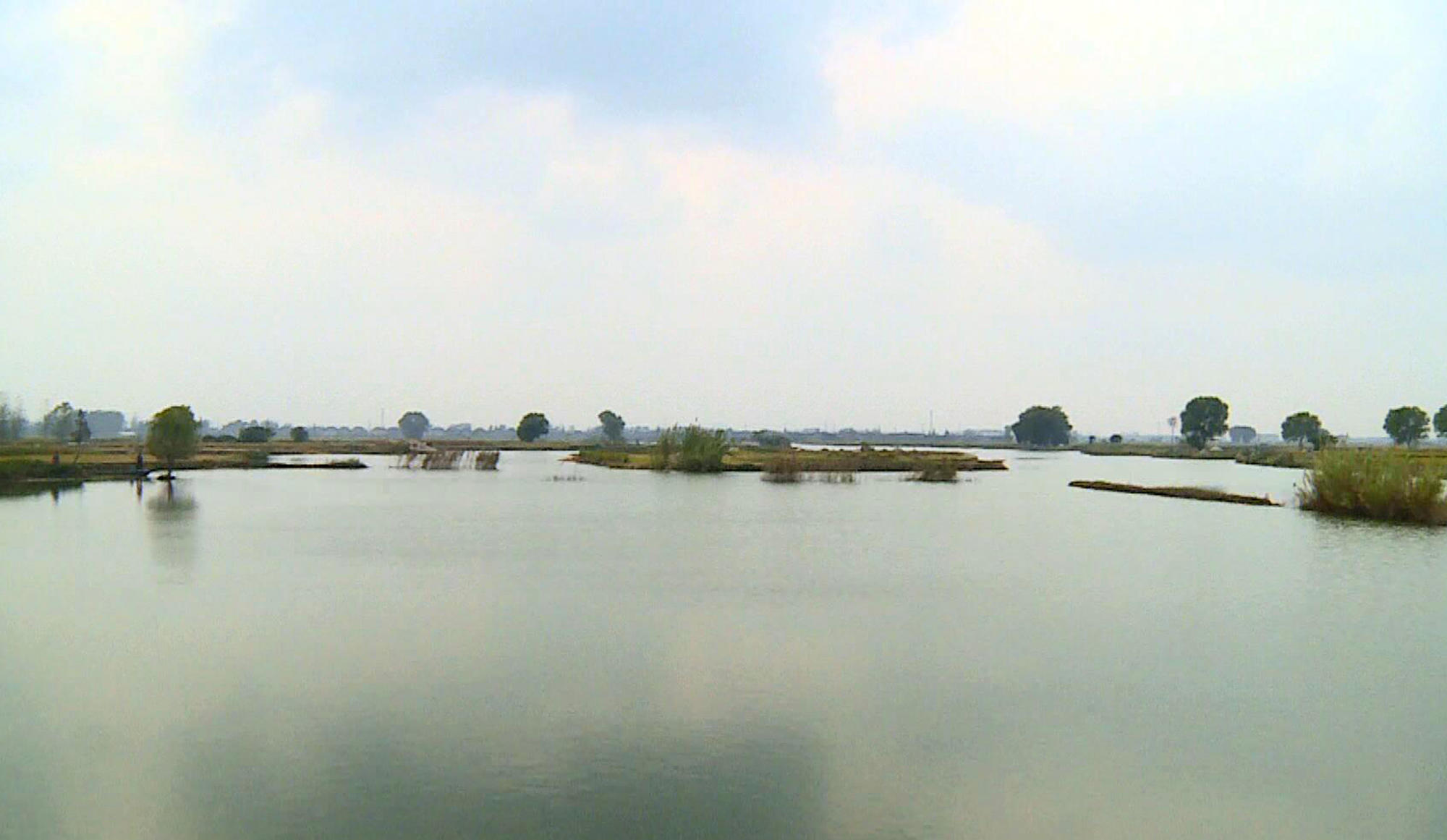 够胆你就来张惠妹,够胆你就来粤语怎么说