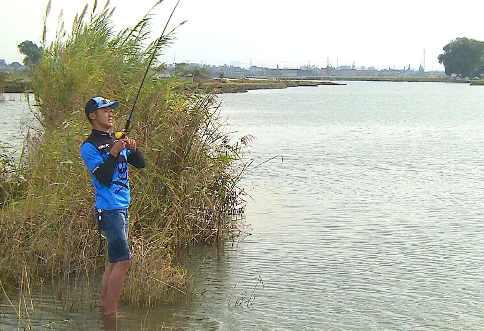够胆你就来张惠妹,够胆你就来粤语怎么说